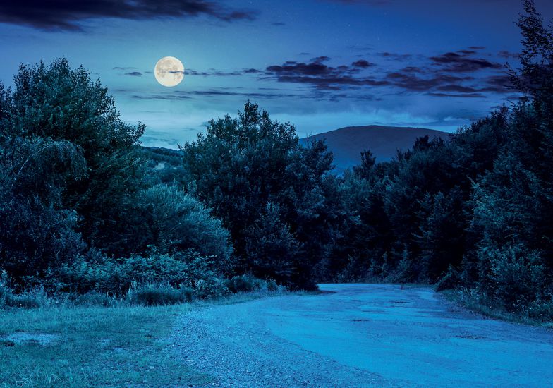 Passeggiata sotto la luna piena - Parco Oglio Nord - eventi